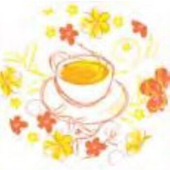 Untersetzer / Coaster SUNNY