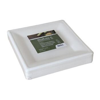 Teller aus Bagasse kompostierbar, eckig