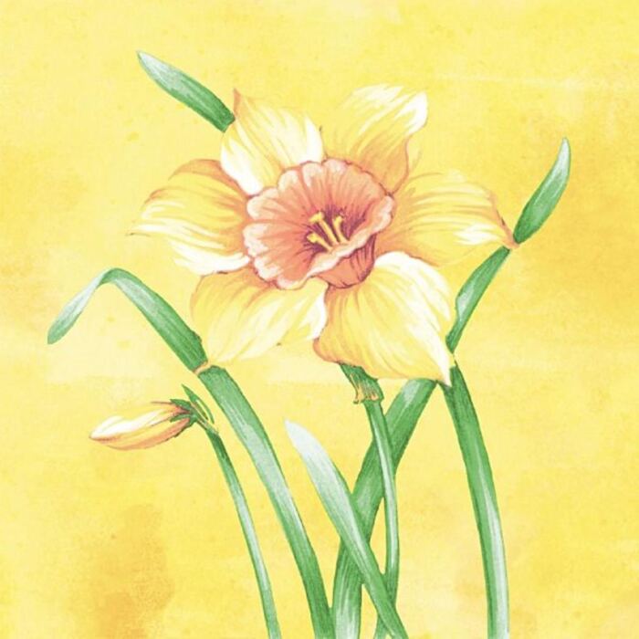 Serviette "ELVIRA"